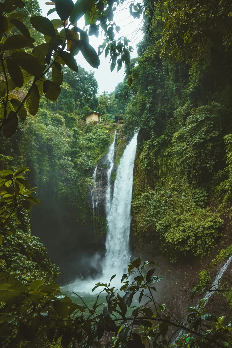 Tall jungle waterfall cascading through green Bali forest